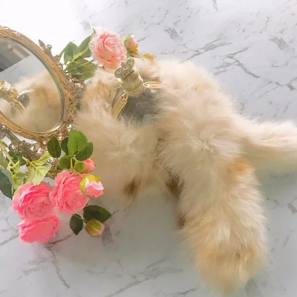 Vintage genuine fox muffler - Picture 4 of 4